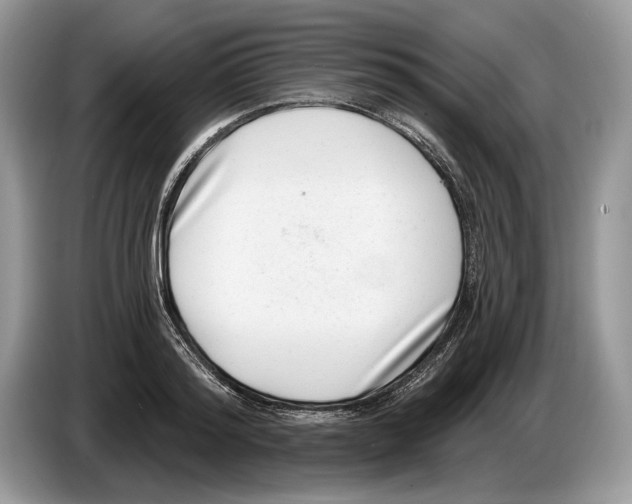 X0000086270796200704262015