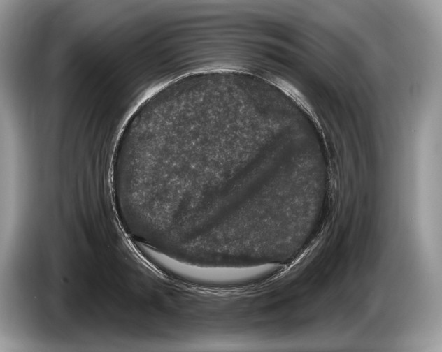 X0000086270797200704262015
