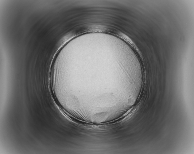 X0000086270802200704262015