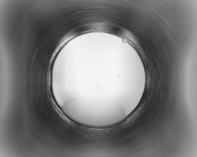 X0000086270804200704262015