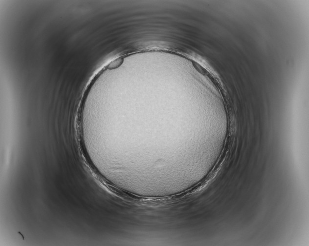X0000086270806200704262015
