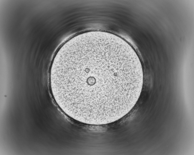 X0000086270807200704262015