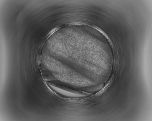 X0000086270809200704262015