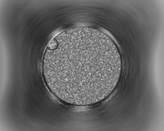 X0000086270810200704262015