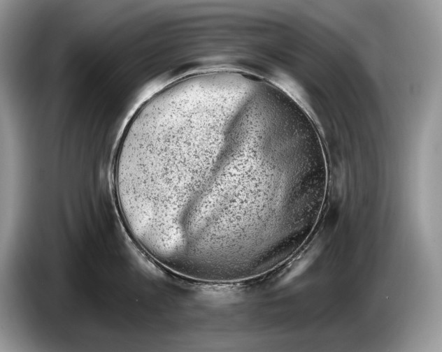 X0000086270813200704262015