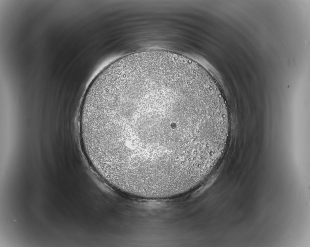 X0000086270814200704262015