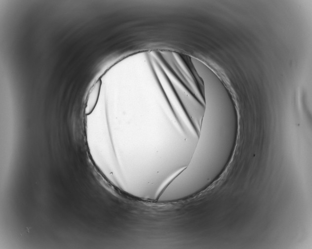 X0000086270816200704262015