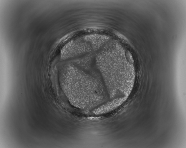 X0000086270822200704262014