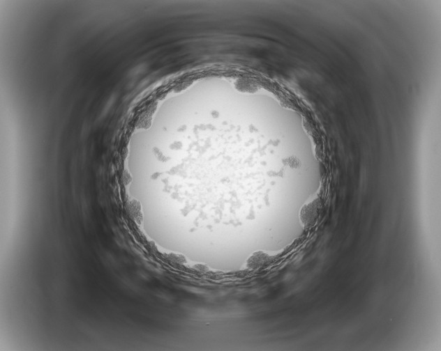 X0000086270824200704262014