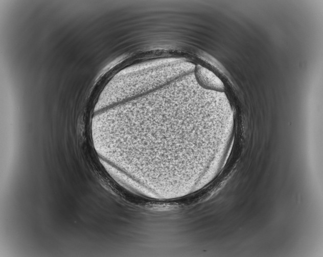 X0000086270826200704262014