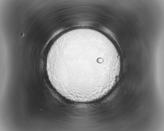 X0000086270827200704262014