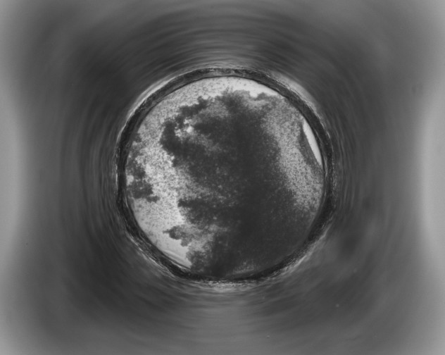 X0000086270829200704262014