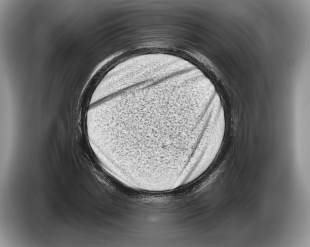 X0000086270830200704262014