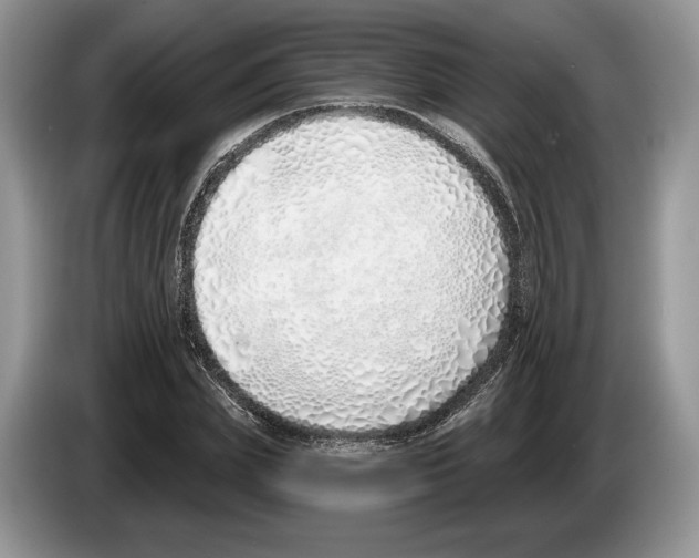 X0000086270831200704262014