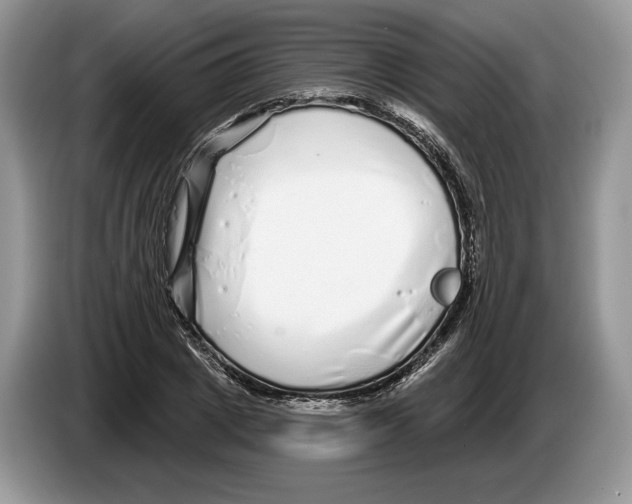 X0000086270833200704262014