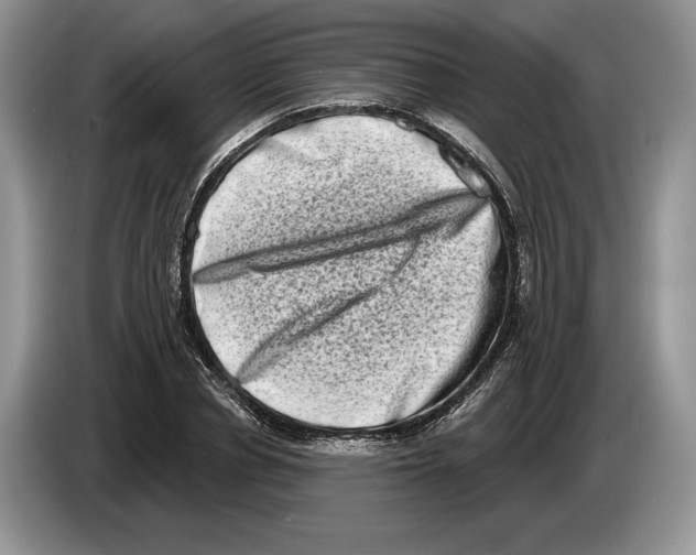 X0000086270834200704262014