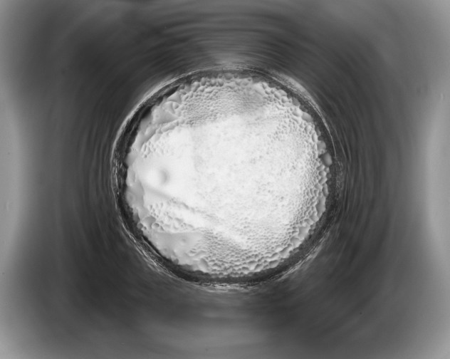 X0000086270835200704262014