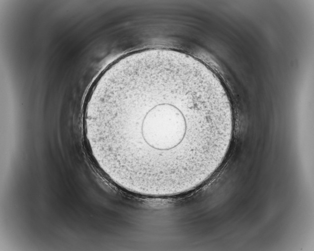 X0000086270836200704262014