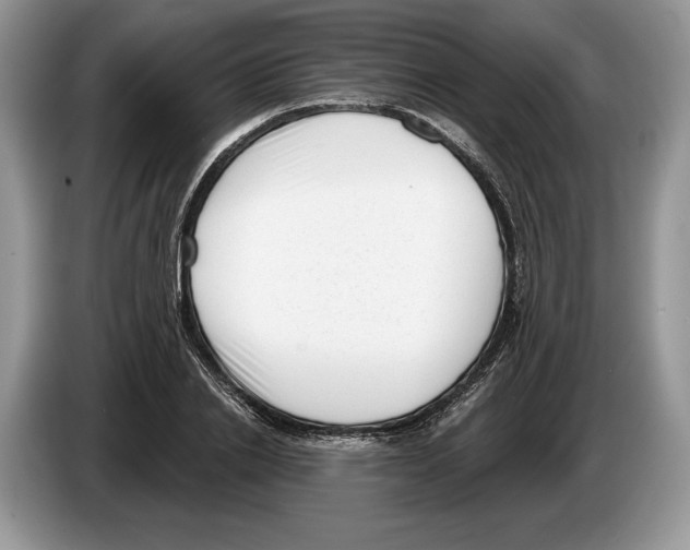 X0000086270838200704262014