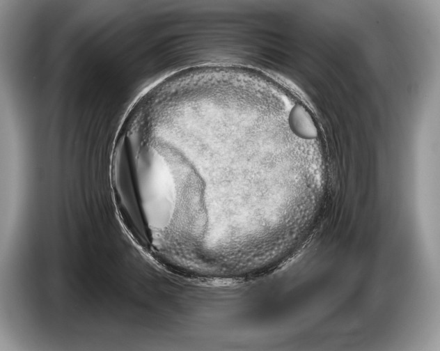 X0000086270839200704262014