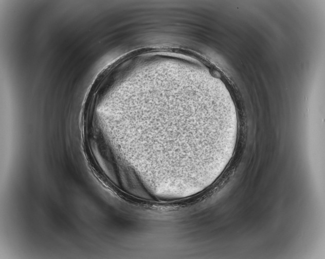X0000086270840200704262014