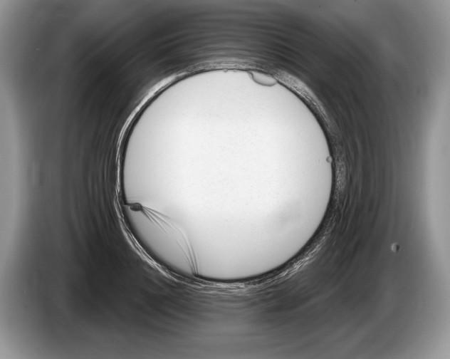 X0000086270844200704262014
