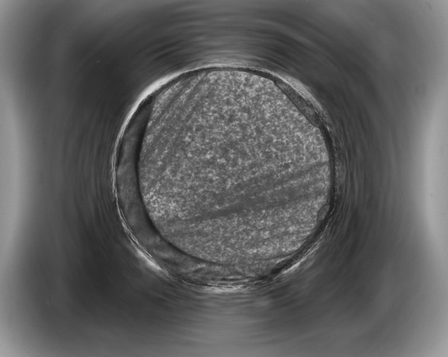 X0000086270846200704262014