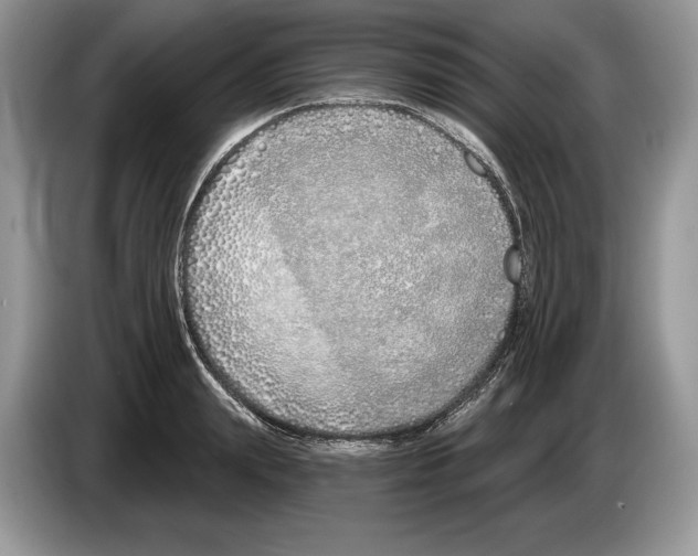 X0000086270847200704262014
