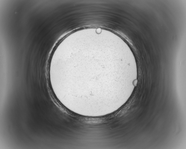 X0000086270848200704262014