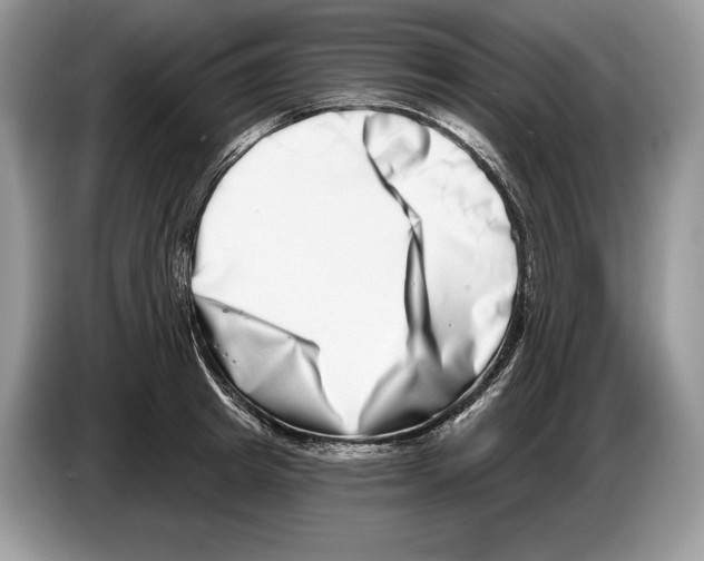 X0000086270849200704262014