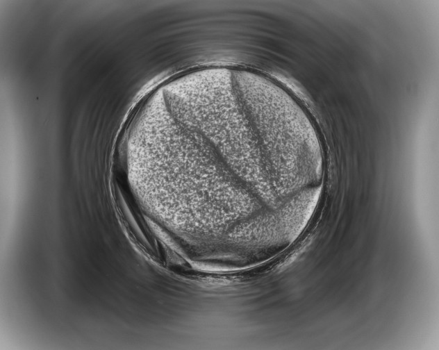 X0000086270850200704262015