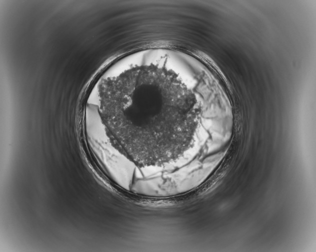 X0000086270851200704262015