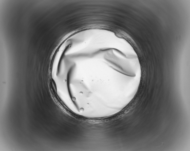 X0000086270852200704262015