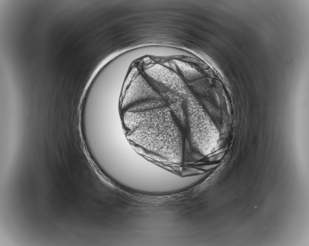 X0000086270854200704262015