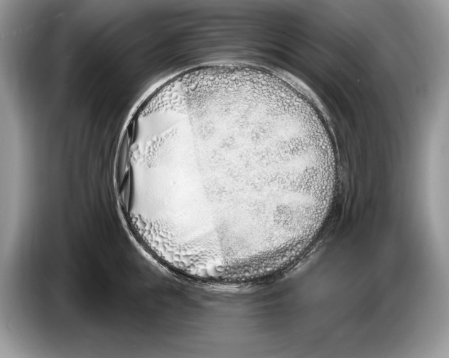 X0000086270855200704262015