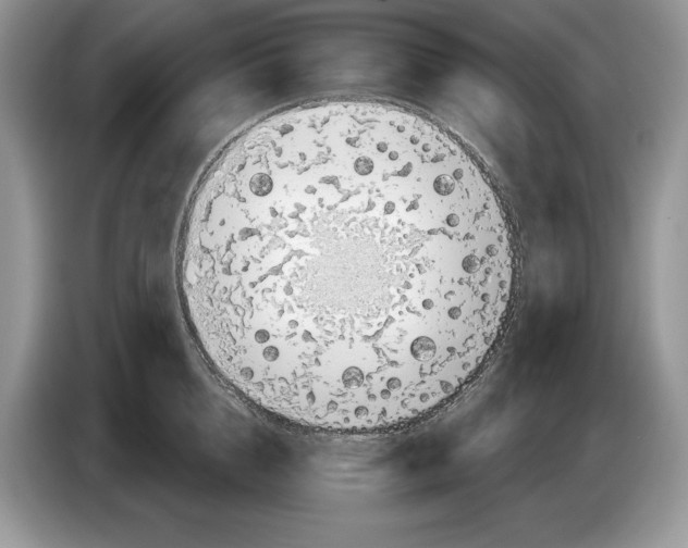 X0000086270856200704262015