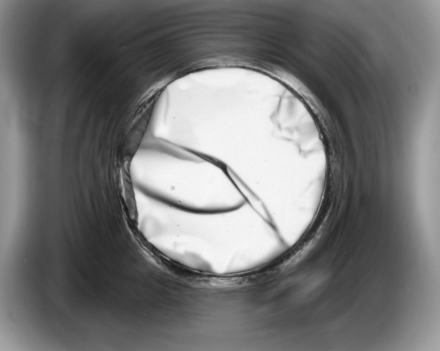 X0000086270857200704262015