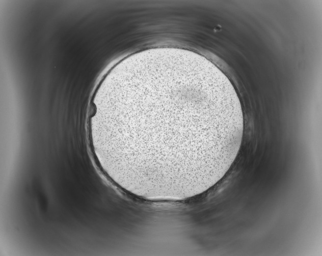X0000086270863200704262015