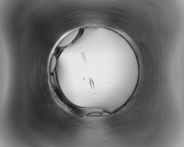 X0000086270864200704262015