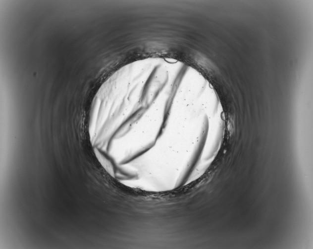 X0000086270867200704262014