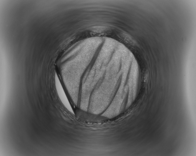 X0000086270868200704262014