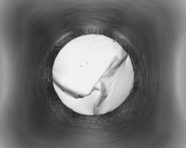 X0000086270870200704262014