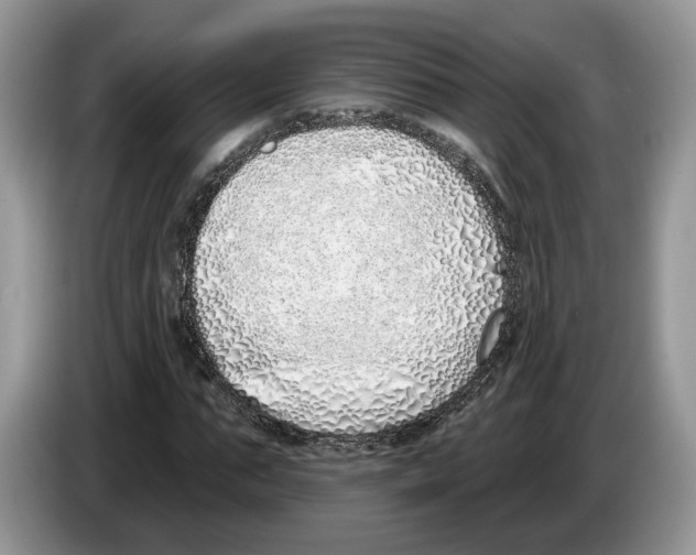 X0000086270871200704262014