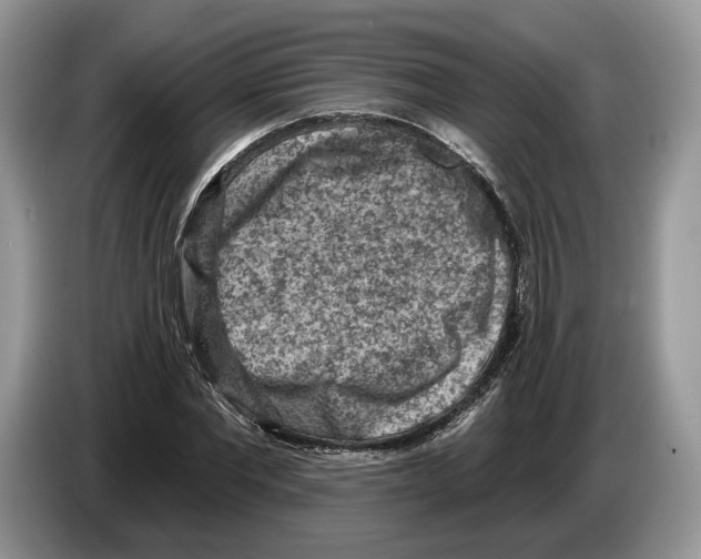 X0000086270877200704262014