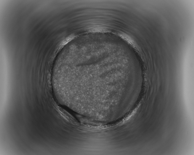 X0000086270881200704262014