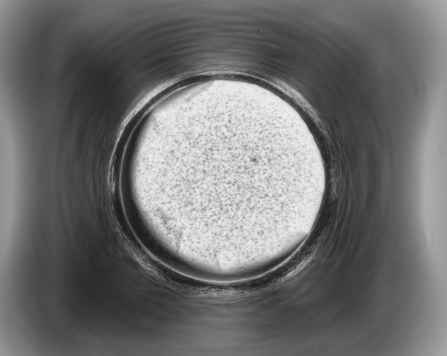 X0000086270885200704262014