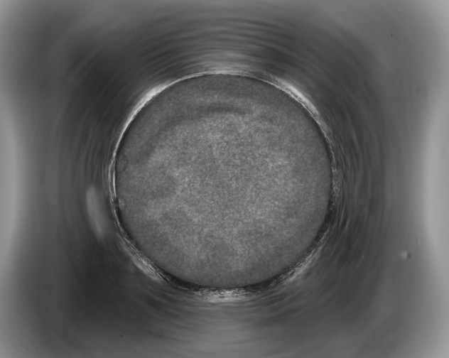 X0000086270891200704262014