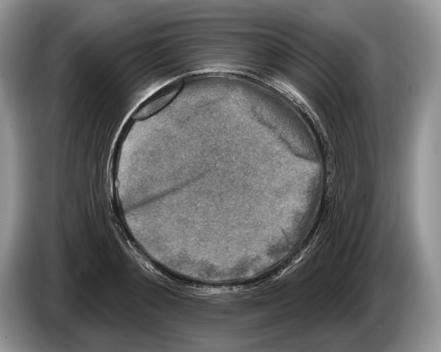 X0000086270892200704262014