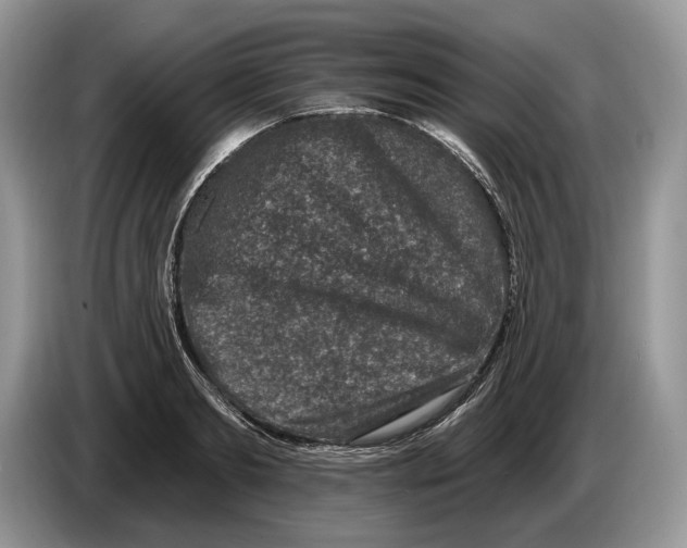 X0000086270893200704262014