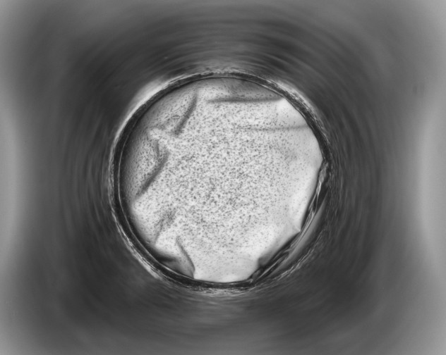 X0000086270894200704262014